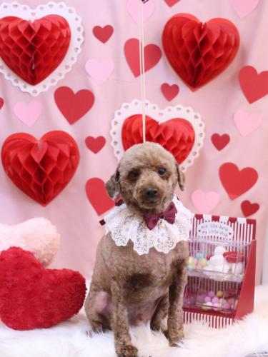 20240208くぅくん